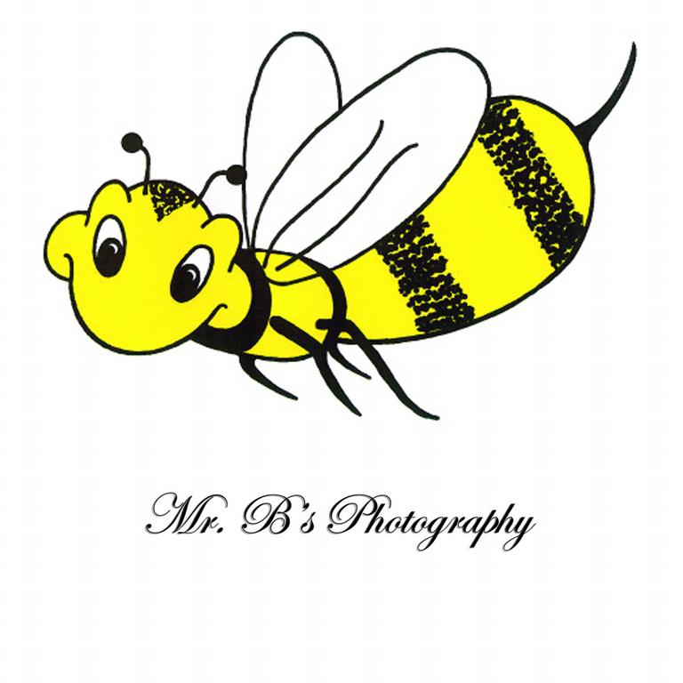 Mr BS Photography Bellevue NE 68005 4022915455 Photographers